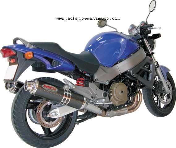 HONDA X11 Ninja HONDA X11 Ninja